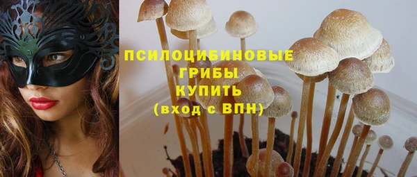 прущая мука Абаза