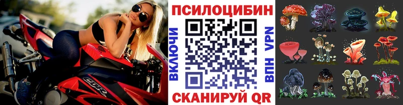Псилоцибиновые грибы Psilocybine cubensis  Кызыл 