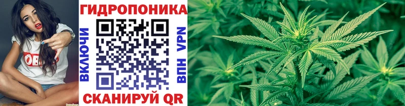 хочу   Кызыл  гидра зеркало  Шишки марихуана индика 